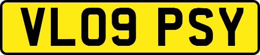 VL09PSY