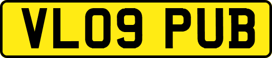 VL09PUB