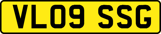VL09SSG