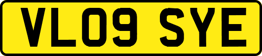 VL09SYE