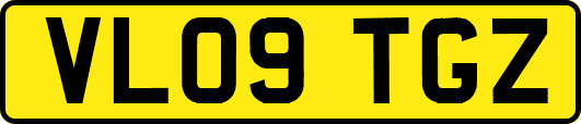 VL09TGZ