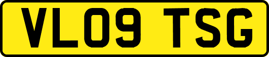 VL09TSG
