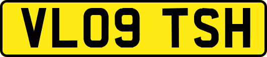 VL09TSH