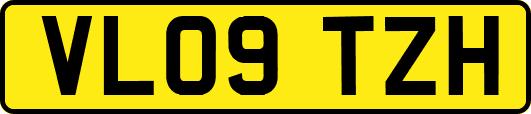 VL09TZH