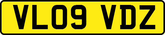 VL09VDZ