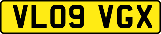 VL09VGX
