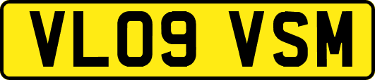 VL09VSM