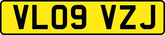 VL09VZJ