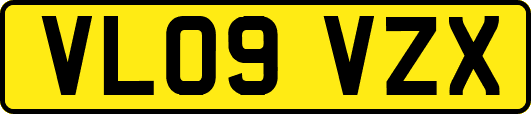 VL09VZX