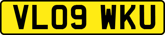 VL09WKU