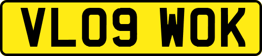 VL09WOK