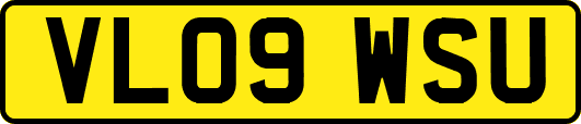 VL09WSU