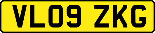 VL09ZKG