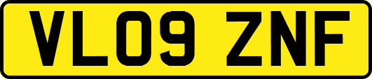 VL09ZNF