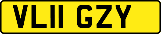 VL11GZY