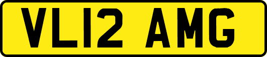 VL12AMG