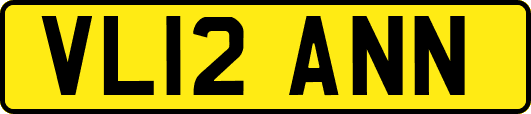 VL12ANN