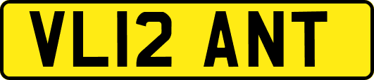 VL12ANT
