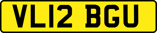 VL12BGU