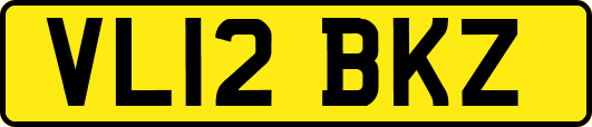 VL12BKZ