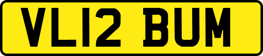 VL12BUM