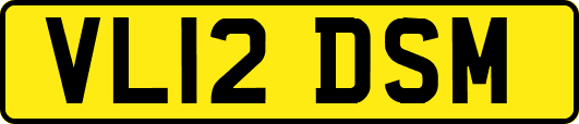 VL12DSM