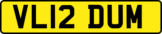 VL12DUM