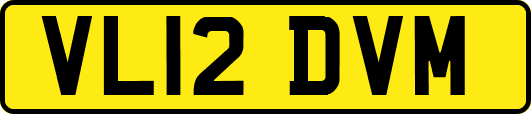 VL12DVM
