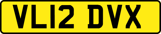 VL12DVX