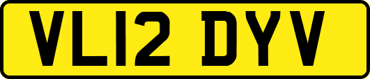 VL12DYV