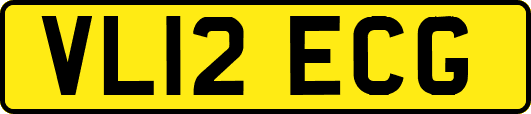 VL12ECG