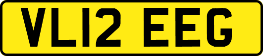 VL12EEG