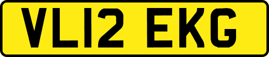 VL12EKG