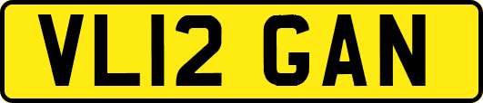 VL12GAN
