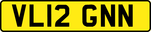 VL12GNN