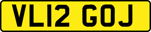VL12GOJ