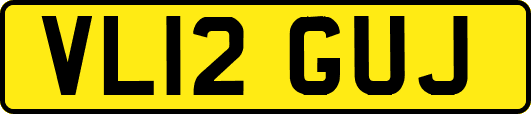 VL12GUJ