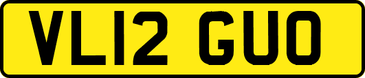 VL12GUO