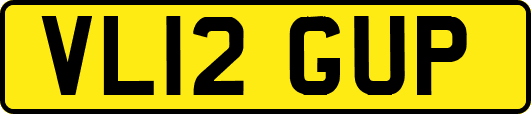 VL12GUP