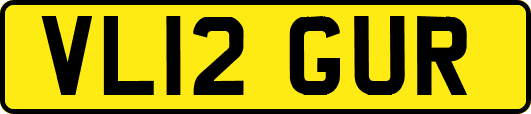 VL12GUR