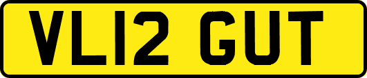 VL12GUT