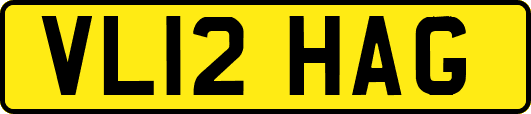 VL12HAG