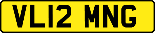 VL12MNG