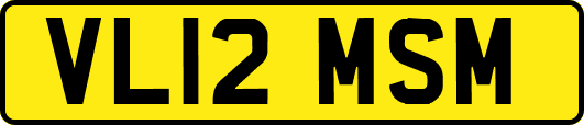 VL12MSM