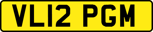 VL12PGM