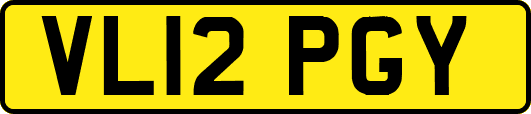 VL12PGY