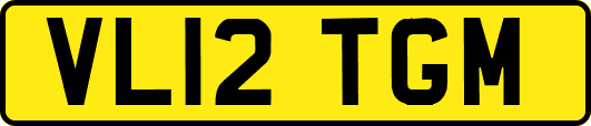 VL12TGM
