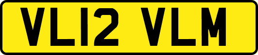 VL12VLM