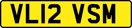 VL12VSM