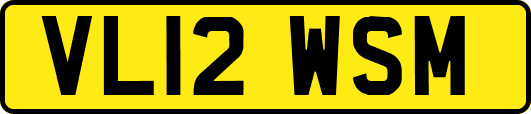 VL12WSM